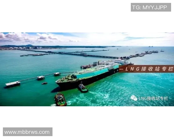 数据分析透视:液化天然气市场动态与表现趋势解析 数据分析透视:液化天然气市场动态与表现趋势解析