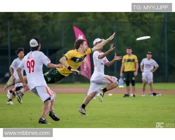 武汉飞盘队的奋斗与荣耀：一段激情四溢的飞盘纪实之旅