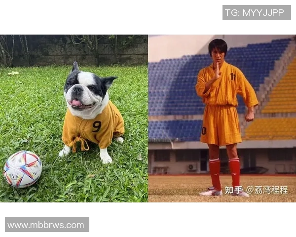 足球明星与爱犬的温馨瞬间大揭秘精美图片展示你不知道的宠物故事 足球明星与爱犬的温馨瞬间大揭秘精美图片展示你不知道的宠物故事