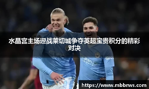 水晶宫主场迎战莱切城争夺英超宝贵积分的精彩对决