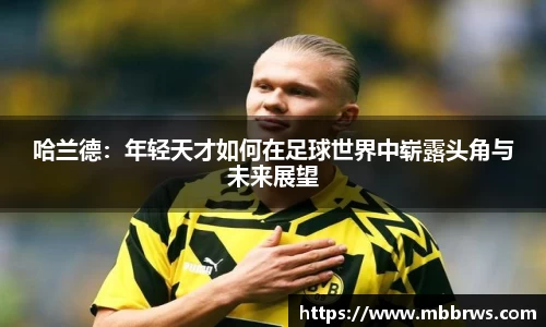 德赢vwin官网
